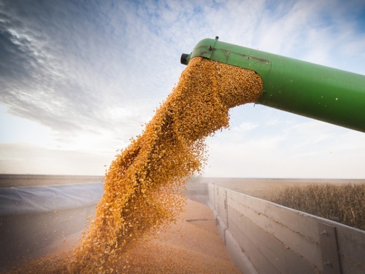 Produção de grãos deve chegar a 312,5 milhões de toneladas na safra 2022/23