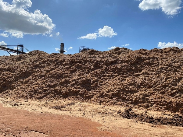 Biomassa 1G, matéria prima para a produção de pellets. Foto: Ronaldo Viana