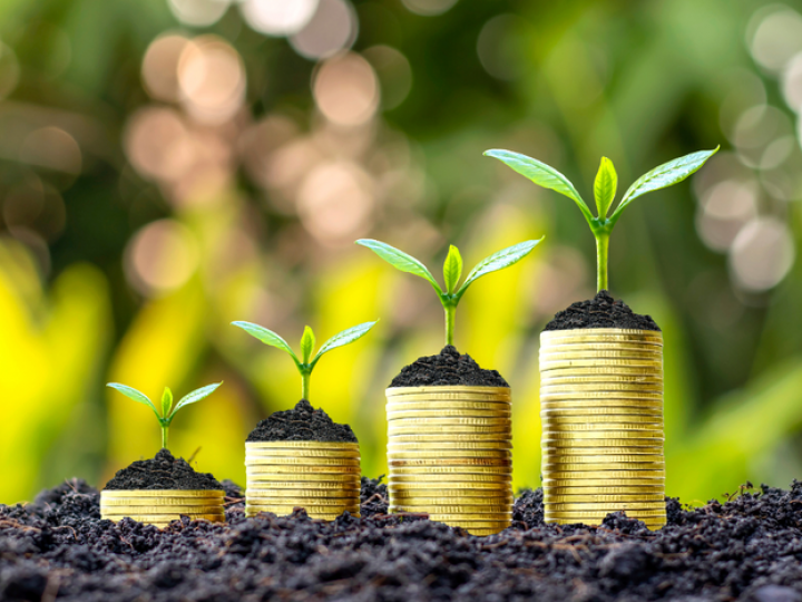 Plano Safra 2022/2023 recebe crédito extra de R$ 200 milhões