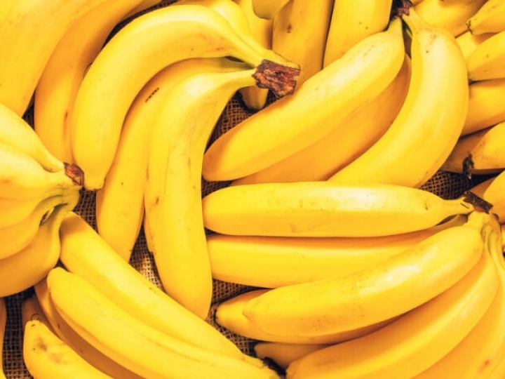 Bananicultura – Medidas fitossanitárias para cultura da banana 