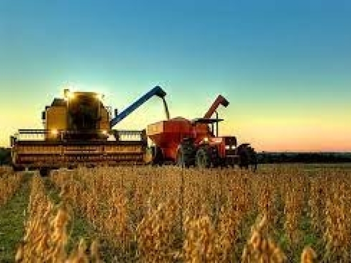 Com boa produtividade, Conab estima safra de grãos 2022/23 em 313,9 milhões de toneladas