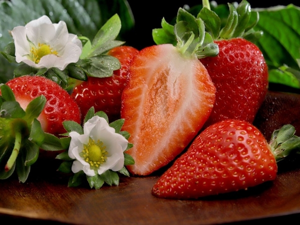 Nova cultivar aumenta a janela de produção da fruta e maximiza retorno econômico ao produtor. Foto: Paulo Lanzetta