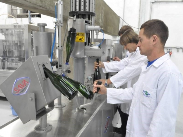 Elaboração de vinho e derivados da uva e do vinho - Crédito: Giovani Capra