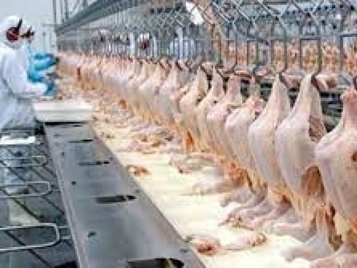 Exportações de carne de frango crescem 0,9% em maio