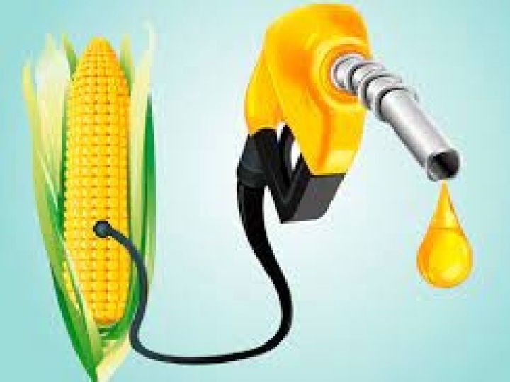 Etanol de milho é aposta segura na produção de biocombustíveis