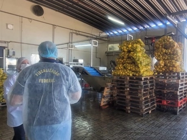 Foto: Patrícia Schober/SFA-SP