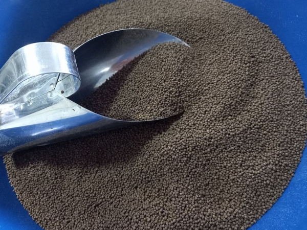 A levedura pode ser um potencial substituto do farelo de soja na nutrição de peixes, especialmente no estado do Amazonas - Foto: Maria José Tupinambá