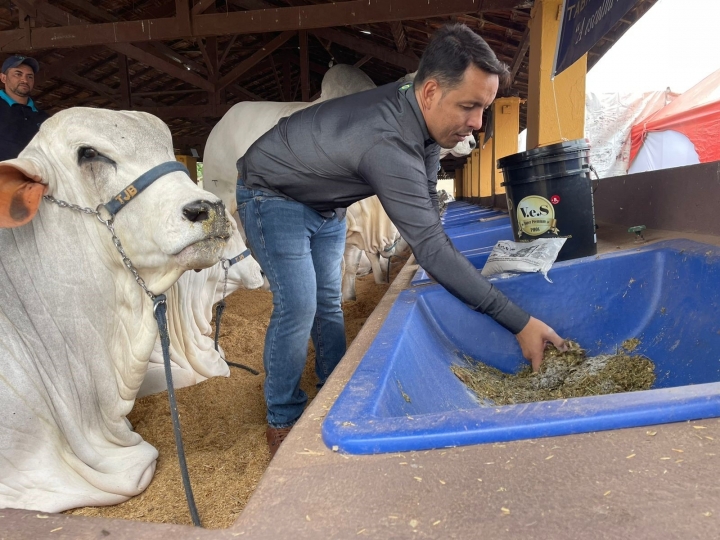Mastite bovina pode gerar um alto prejuízo econômico aos produtores rurais se não for tratada e prevenida
