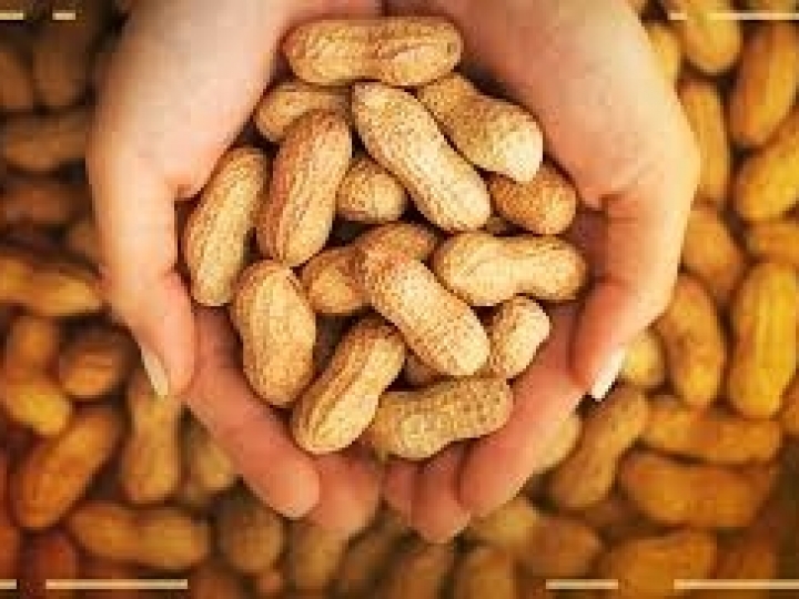 Pesquisa indica que 93% dos produtos de amendoim industrializados não têm corantes e 87% não possuem conservantes