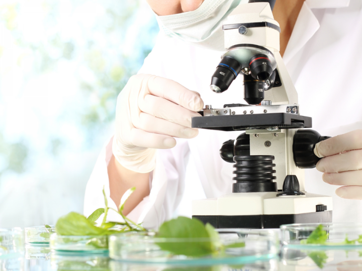 APTA abre concurso público para contratar 37 pesquisadores científicos  