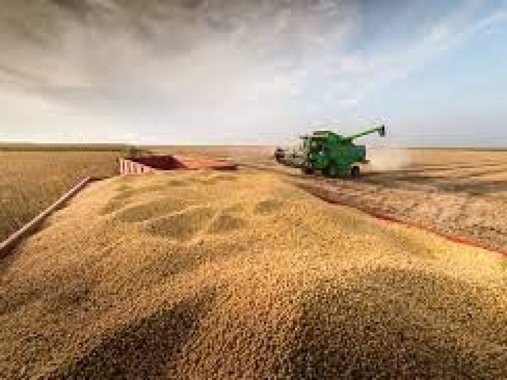 Produção de grãos é estimada em 320,1 milhões de toneladas com ganhos de área e produtividade
