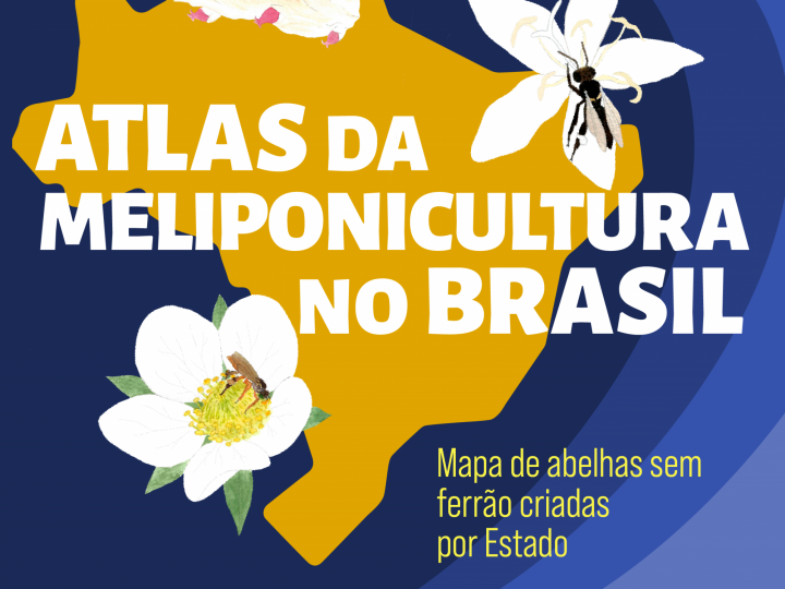 A.B.E.L.H.A. lança nova plataforma sobre  abelhas sem ferrão no Brasil