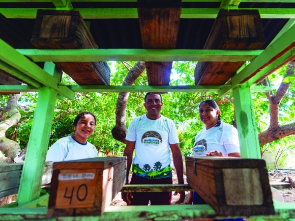  Associação Caatinga dissemina técnica de criação de abelhas “sem ferrão” no sertão nordestino