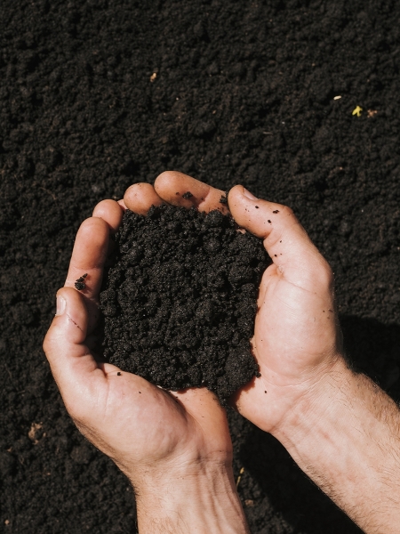 O tema estará na programação do 1º Fórum de Fertilizantes de Matriz Orgânica, que acontecerá em Piracicaba, nos dias 08 e 09 de novembro