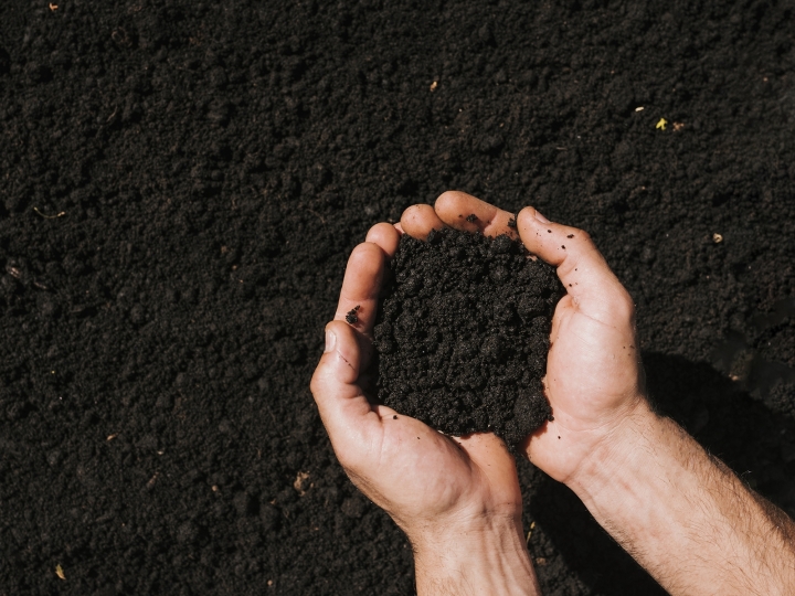 Como a matéria orgânica pode gerar créditos de carbono para os produtores rurais?