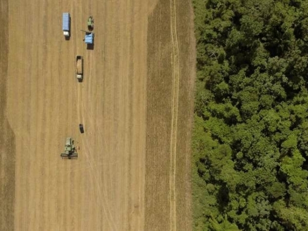 Remuneração destes títulos em dólar elimina uma das maiores barreiras a entrada de investimentos estrangeiros no país