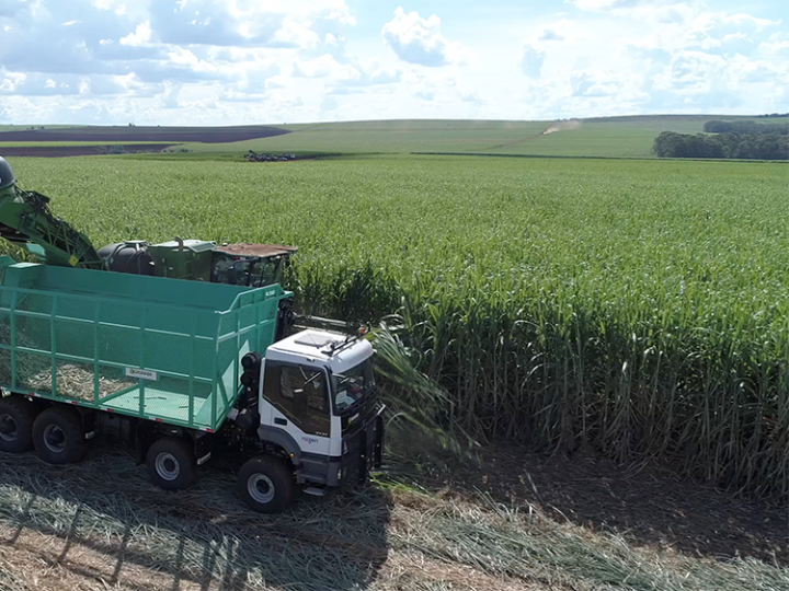 Mix mais açucareiro em 2024/25 deve resultar em produção recorde