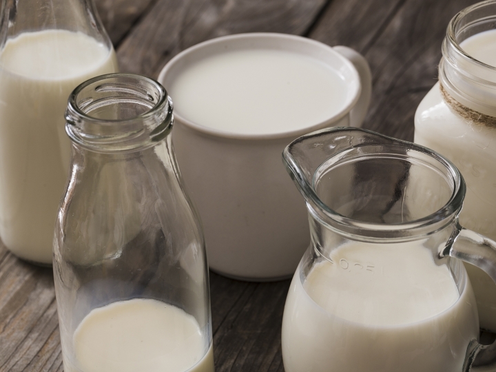 Produtores de leite e gado de corte maximizam sua produtividade com silagem de milho