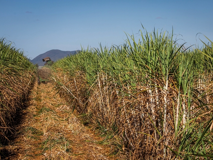 Atvos anuncia assinatura de Memorando de Investimentos para construção da maior fábrica de biometano a partir de resíduos da cana-de-açúcar do Brasil 