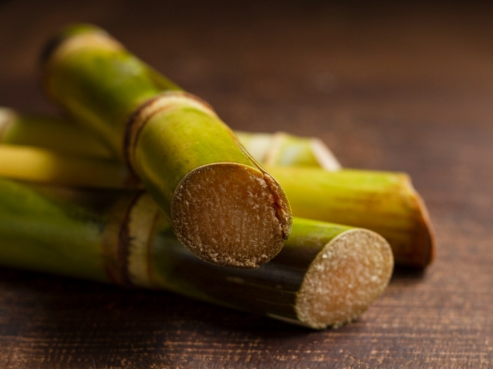 Açúcar se recupera e volta a subir nas bolsas internacionais; Etanol fecha em baixa após quase 1 mês de valorização