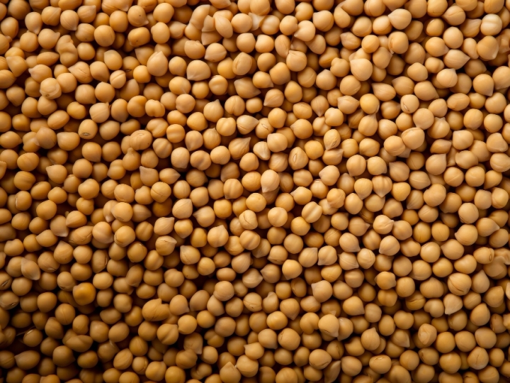  Produção de grãos no estado deve chegar a 9,21 milhões de toneladas