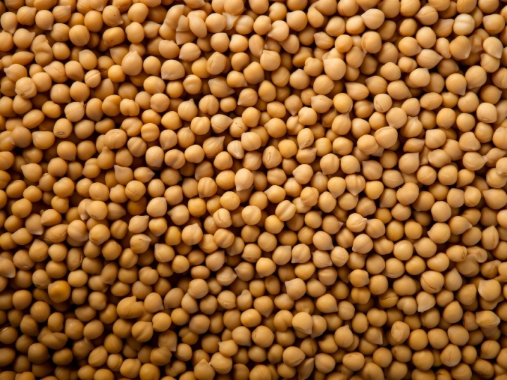 Nova estimativa da Conab traz produção de grãos em 297,54 milhões de toneladas