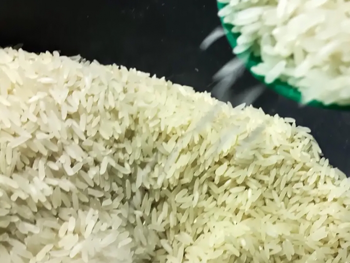 Ministro da Agricultura promete novo e mais eficiente leilão do arroz