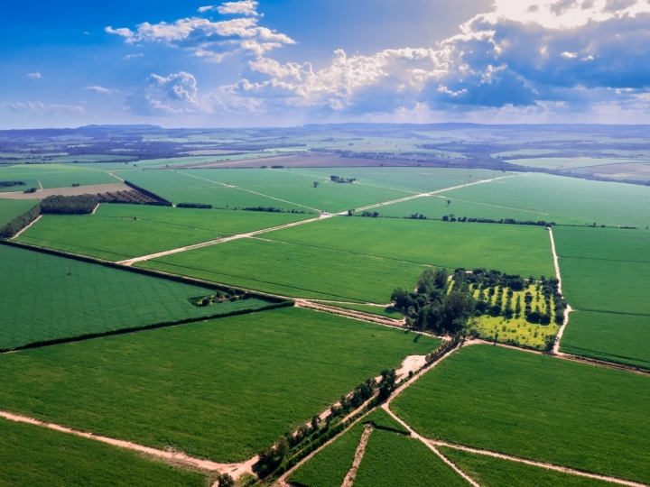 Nuseed apresenta potencial de variedades Vertix para a produção de etanol em evento da Udop