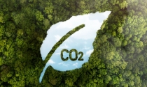 FGV: Maior consumo de biocombustíveis no 1º trimestre evitou emissão de 14,9 mi de t de CO2