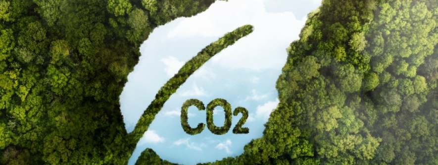 FGV: Maior consumo de biocombustíveis no 1º trimestre evitou emissão de 14,9 mi de t de CO2