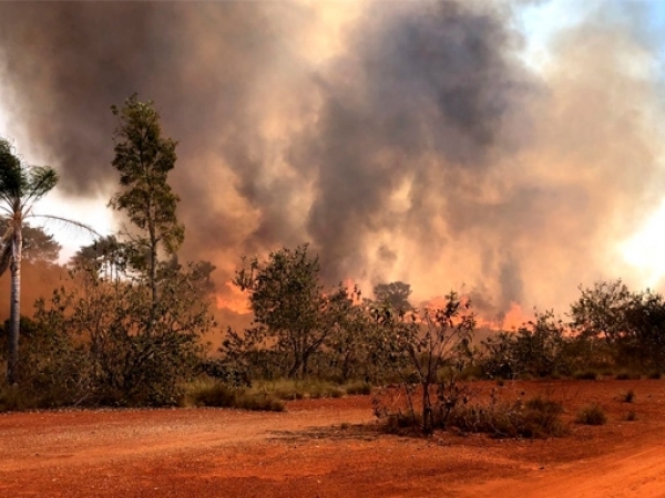 O gabinete de crise do Governo de SP segue mobilizado para o enfrentamento aos focos de incêndio. Foto: Divulgação/Governo de SP
