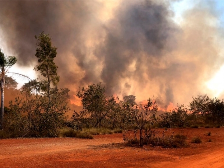 SP renova alerta de risco elevado de incêndios em todo o estado até terça (10)