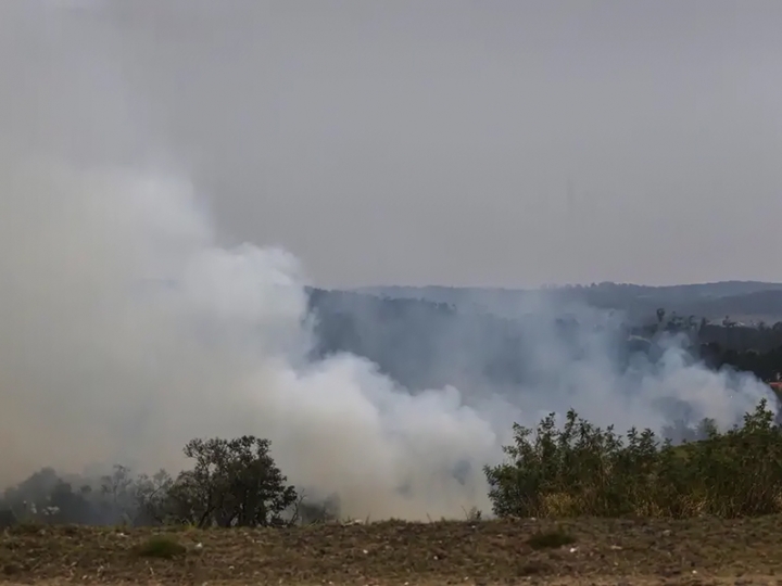 COP30: desmatamento e apego aos fósseis desafiam ‘liderança pelo exemplo’ do Brasil