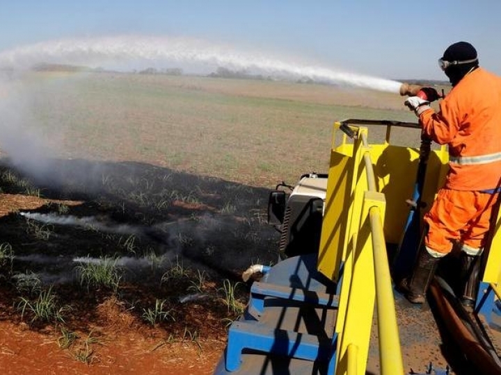 Incêndios atingiram 230 mil hectares de cana em SP