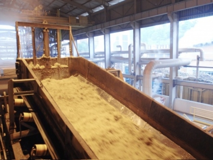 Moagem atinge 44 mi de toneladas na 1ª quinzena de agosto