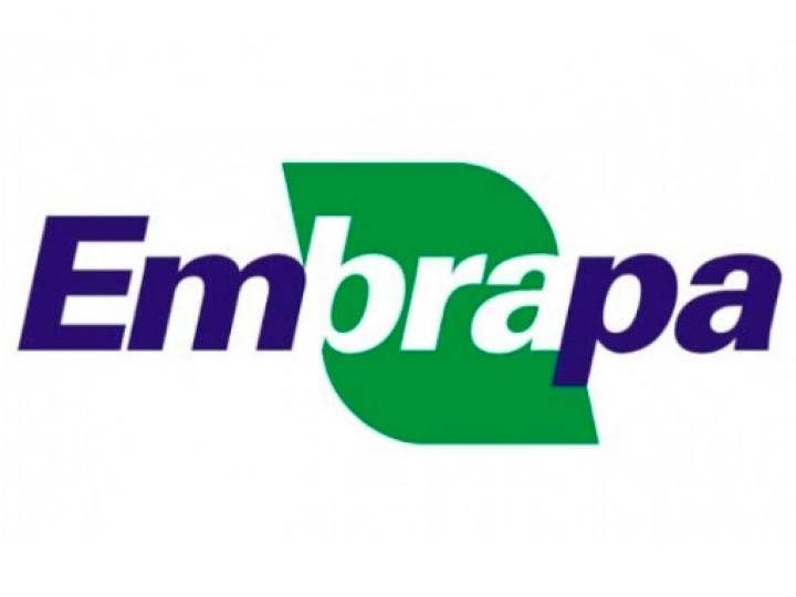 Embrapa - Debates em Socioeconomia: Transição Energética