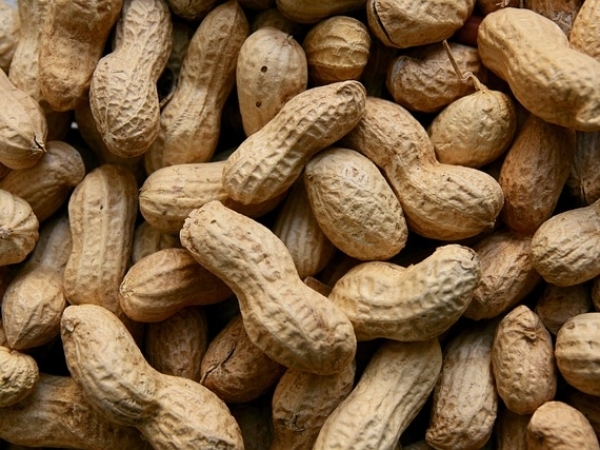 A Sima desenvolveu uma ferramenta de monitoramento georreferenciado - Foto: Pixabay