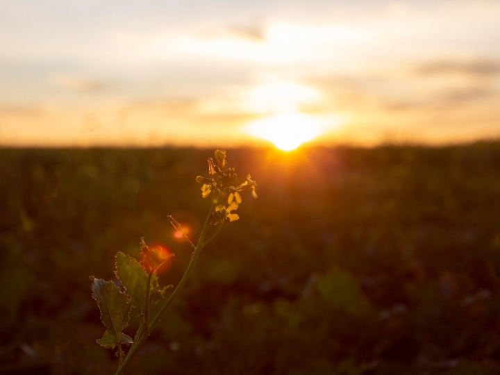 Governo descarta volta do horário de verão para este ano