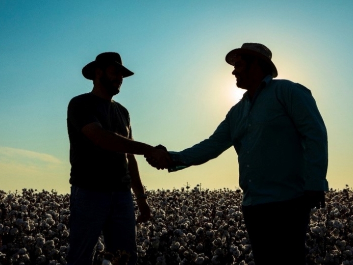 Parceria da BASF com consultorias independentes permite ampliar acesso à agricultura digital no Brasil