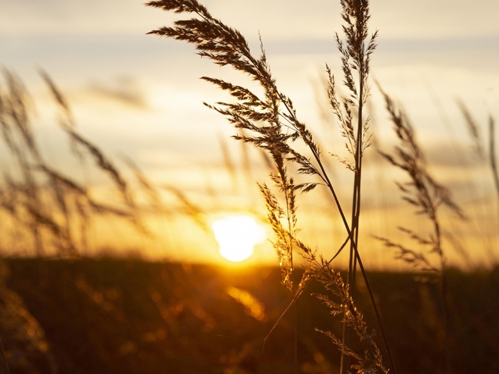 A semana começa quente e úmida em grande parte do país 