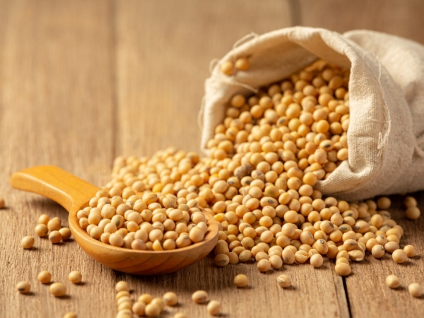 A pesquisa aponta que a produção de soja nessa safra deve ser de 35,75 milhões de toneladas, redução de 9,56 milhões de toneladas (freepik)