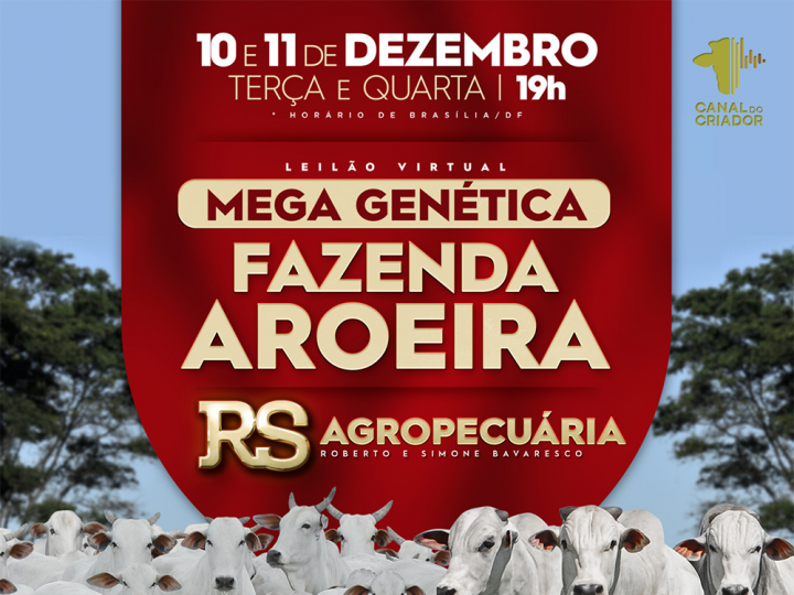 400 animais Nelore serão ofertados no leilão Mega Genética, da RS Agropecuária