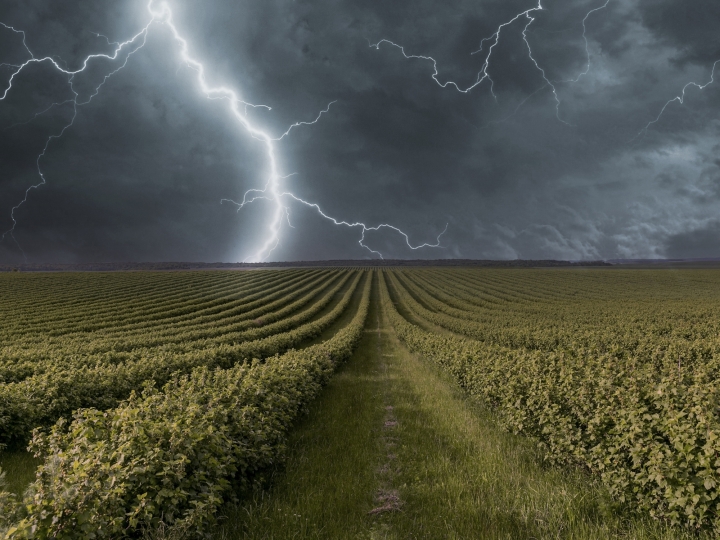 Previsão do tempo: alerta de perigo para chuvas no Paraná e Santa Catarina