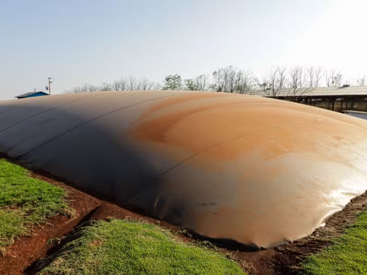 Governo de SP lança procedimentos para produção de biocombustíveis em propriedades rurais