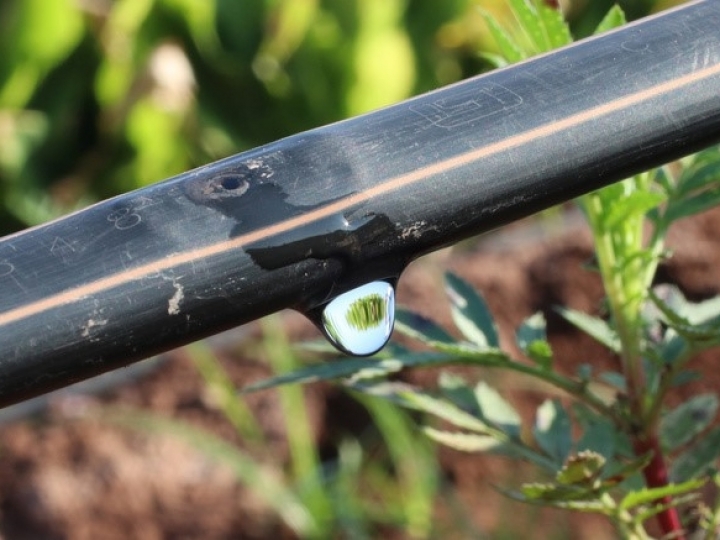 Irrigação: tecnologia, expansão e inovação impulsionam o agronegócio brasileiro