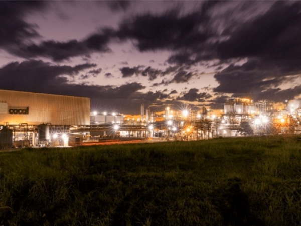 Cocal está entre as maiores do agro brasileiro – Ranking Forbes Agro 100 2024