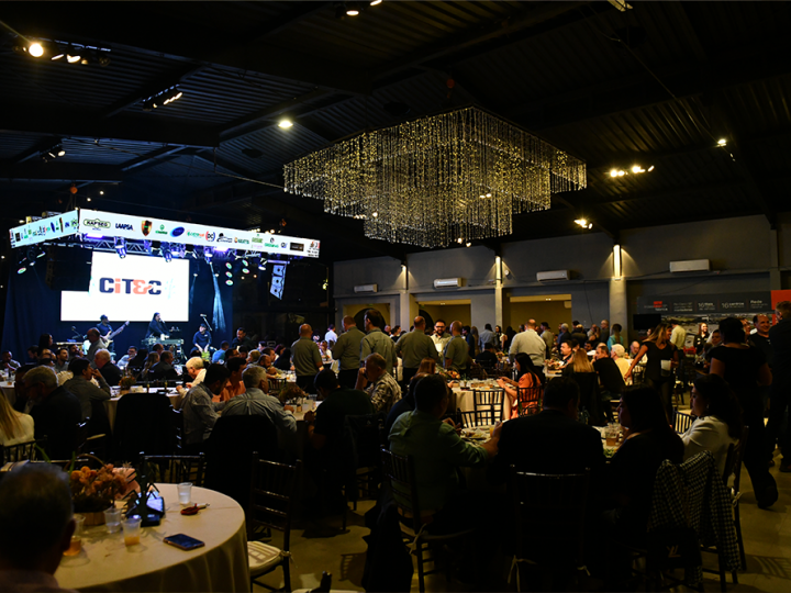 Um ano de inovações