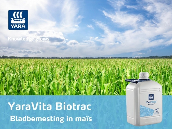  Bayer lança nova modalidade de programa de recomendação técnica para milho visando apoiar ainda mais o aumento de produtividade 