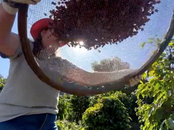 Crédito da Imagem: TV Brasil