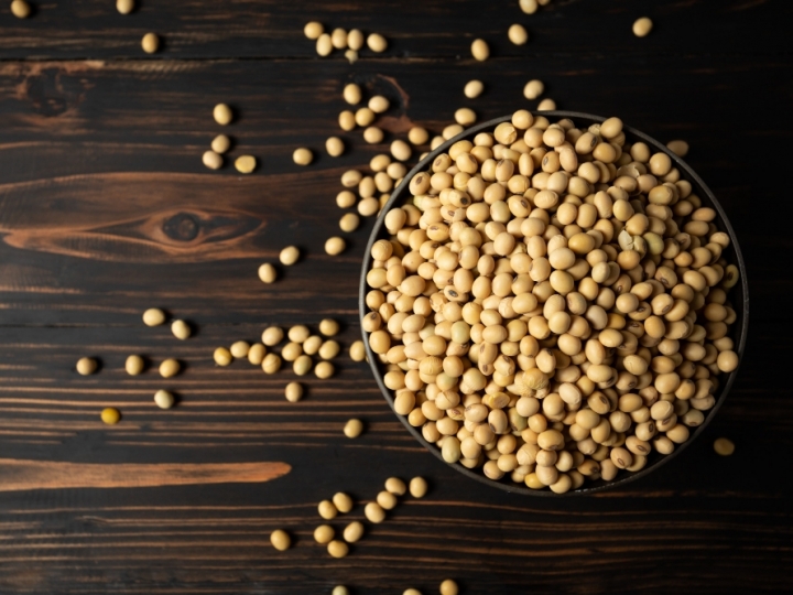 Soja testa leves perdas na Bolsa de Chicago nesta 4ª feira e aguarda novos números do USDA